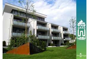 Moderne 2-Zimmer-Wohnung mit Balkon in Windberg zu vermieten