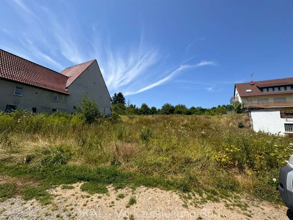 BP Bild 1 von der Straße