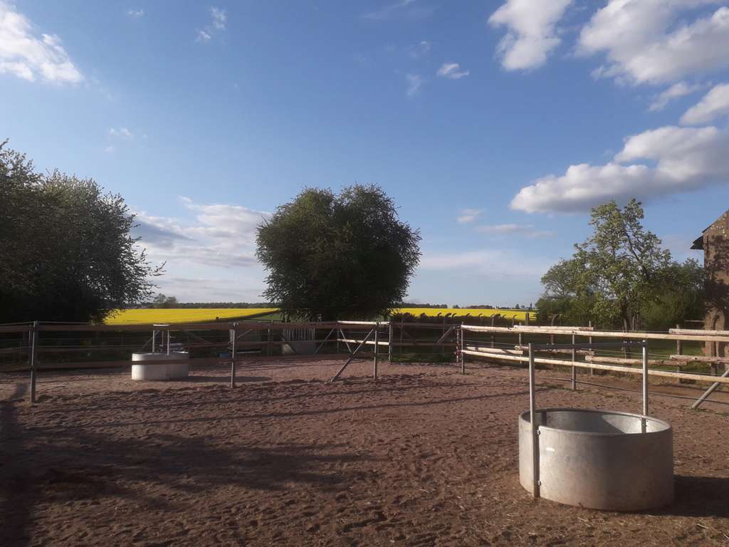 Immobilie in Derental - Provisionsfrei: Bezugsfertige Immobilie für Pferdefreunde inkl. Vermietungsoption - Bild 1