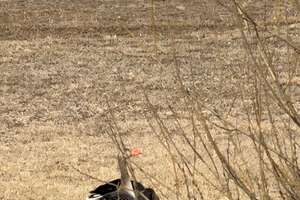 Property thumbnail 76