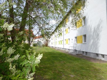 Wohnung mieten in Ilsenburg - ImmobilienScout24