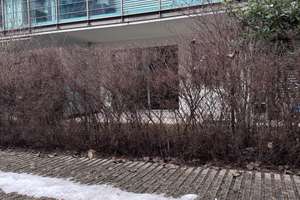 Exklusive 3-Zimmer-Gartenwohnung mit Townhouse-Charakter | Isar-Terrassen Sendling – Heißstrasse 16, 81369 Untersendling, München – Vorschaubild 14
