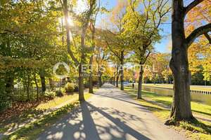 NEU: SELTENE 4-ZIMMERWOHNUNG MIT 2 BALKONEN IN BESTLAGE VON LINDENTHAL +PROVISIONSFREI+ – Die vollständige Adresse der Immobilie erhältst du vom Anbieter., 50931 Lindenthal (Ortsteil), Köln – Vorschaubild 7