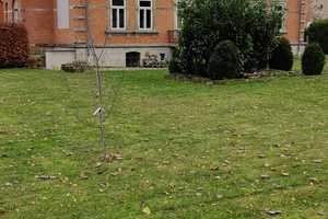 Repräsentative VILLA / gehobene Ausstattung / in 38836 VOGELSDORF (Gem. Huy) / HARZ / 880.000 € – Harz (Kreis) – Vorschaubild 14