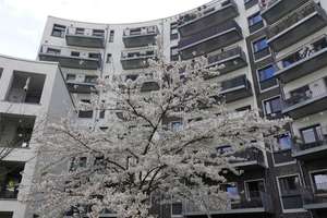 Property thumbnail 25