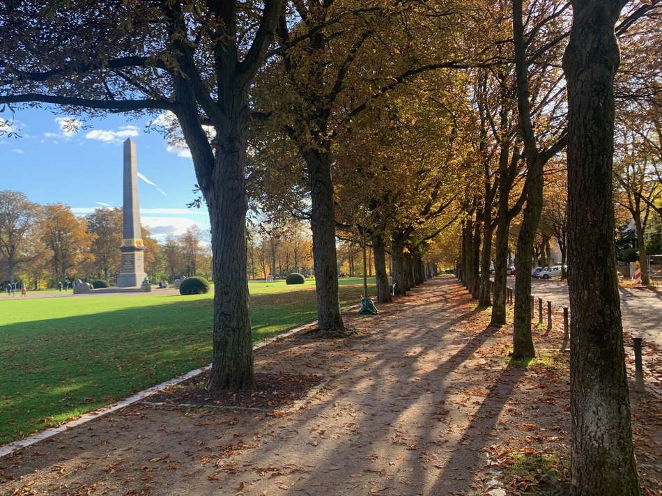 Löwenwall in direkter Nähe