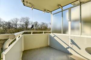 Property thumbnail 3