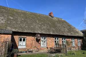 Schöner Geesthardenhof mit Backhaus,Gewächshaus und Gemüsegarten – Nordfriesland (Kreis) – Vorschaubild 7