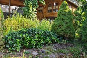 Geräumiges Mehrfamilienhaus in Chemnitz mit großem Garten – Die vollständige Adresse der Immobilie erhältst du vom Anbieter., 9131 Ebersdorf, Chemnitz – Vorschaubild 13