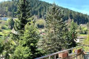 Einzigartiger Blick über die Baumwipfel * Ehemaliges Bürgermeisterhaus in idyllischer Lage – Calw (Kreis) – Vorschaubild 38