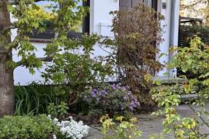 Sonne, Garten, Lebensfreude: Charmantes Reihenendhaus – Rodenbusch 14, 40885 Breitscheid, Ratingen – Vorschaubild 2