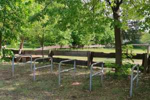 Eine kleine Insel am Wutzsee in Hammer – Oberhavel (Kreis) – Vorschaubild 9