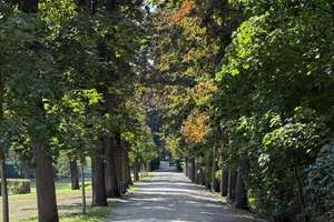 Property thumbnail 32