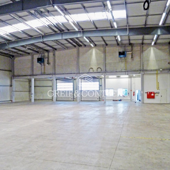 Funktionale Hallen- und Bürofläche | Sofort verfügbar | Vielzahl an Rampen | Greif & Contzen