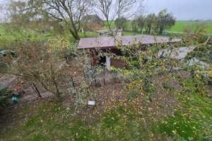Wohnen am MEER, NORDSEE Gepflegtes Einfamilienhaus hinterm Deich – Dithmarschen (Kreis) – Vorschaubild 12