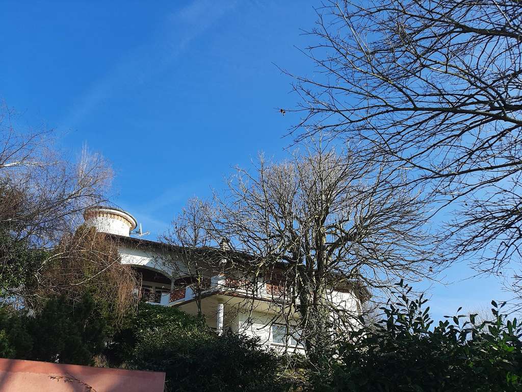 Immobilie in Ottersweier - Traumaussicht in die Rheinebene - Einfamilienhaus mit Einliegerwohnung und Ausbaupotenzial - Bild 4