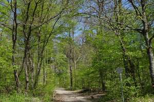 Sifi: 1-2-Fam.-Haus am Wald, Aussicht, EBK, Doppelgarage, ELW für Freiberufler oder Pflegepersonal – Die vollständige Adresse der Immobilie erhältst du vom Anbieter., 71063 Sindelfingen – Vorschaubild 49