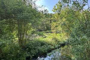 Traumhaftes Anwesen im Schambachtal mit 33.200 m² Grundstück – Mühlenstraße 22, 85110 Kipfenberg – Vorschaubild 23