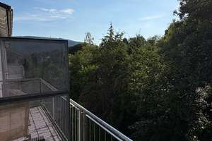 Exklusives Reihenmittelhaus mit 148 m² 5 Zimmer in Bestlage /
 Waldrand zu vermieten – Hirtenaue 55, 69118 Ziegelhausen, Heidelberg – Vorschaubild 2