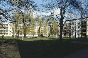 Eine 3 Raumwohnung mit Balkon - frisch renoviert!