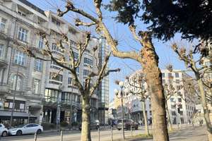 Am Kurpark / Casino / Aufzug - 250 m² Wohnfläche - Klimatisiert! – Die vollständige Adresse der Immobilie erhältst du vom Anbieter., 65183 Mitte, Wiesbaden – Vorschaubild 2