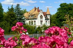 Jugendstil-Villa unter Denkmalschutz. Substanzstark und detailreich. – Die vollständige Adresse der Immobilie erhältst du vom Anbieter., 4668 Grimma – Vorschaubild 4