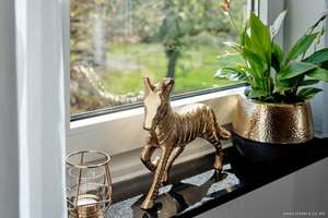 Ihr Zuhause mit Familienglück, Natur und Tieren – Die vollständige Adresse der Immobilie erhältst du vom Anbieter., 73667 Kaisersbach – Vorschaubild 9