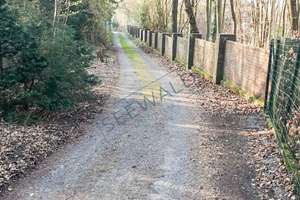 Property thumbnail 19