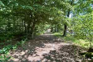 Idyllisches Einfamilienhaus mit Pferdehaltung bei Berlin – Oberhavel (Kreis) – Vorschaubild 18