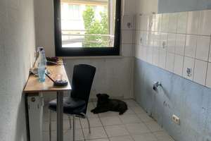 Modernes Wohnen in Essen: 3,5-Zimmer-Wohnung in Dellwig – Zugstrasse 19a, 45357 Dellwig, Essen – Vorschaubild 4