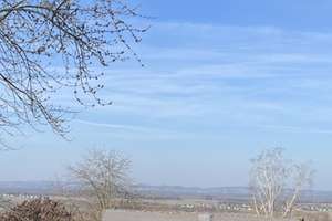 Vermietete 2 - Zimmer - ETW mit Balkon, tollem Blick zu den Vogesen, Kellerabteil , TG-Abstellplatz – Hofstraße 7a, 79415 Bad Bellingen – Vorschaubild 8