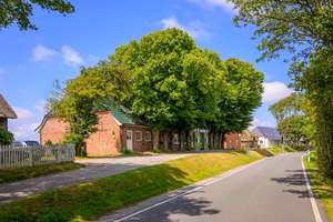 Unter den Linden – Westertilli 23, 25849 Pellworm – Vorschaubild 1