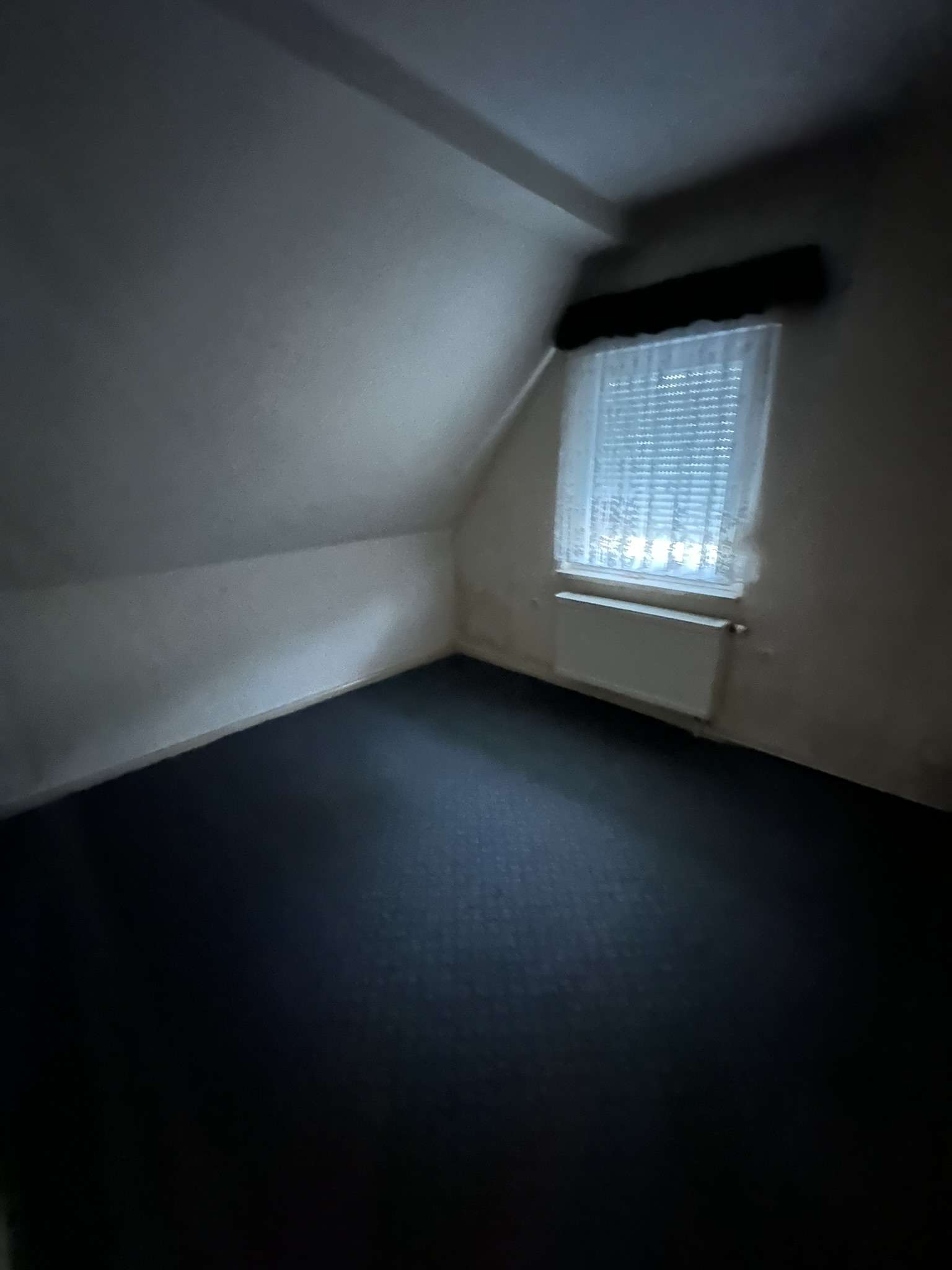 Immobilie in Plau am See - Einfamilienhaus mit großem Grundstück in bester Lage von Plau - Bild 3