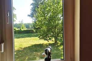 Ein traumhaftes Domizil am Vosskanal für die Ferien, zum Wohnen & zum Wohlfühlen – Oberhavel (Kreis) – Vorschaubild 8