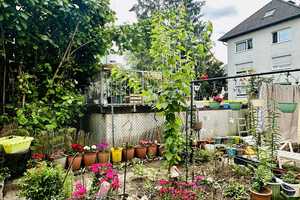 Dreifamilienhaus mit Garten in Frankfurt Höchst – Frankfurt am Main – Vorschaubild 10