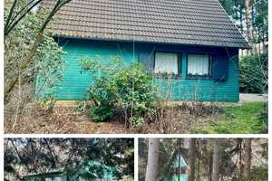 Wochenendhaus am See / Waldlage / Erholung Pur /
Seltene Gelegenheit – Ammerland (Kreis) – Vorschaubild 2