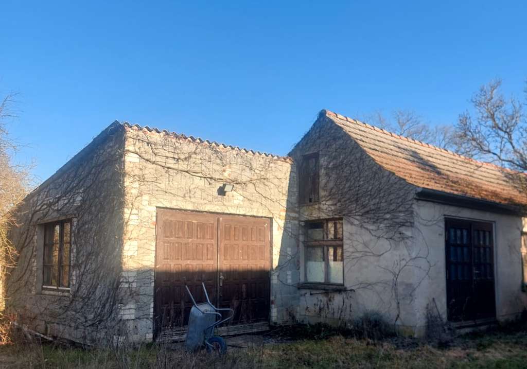 Immobilie in Letschin - Solides Einfamilienhaus mit Entwicklungspotenzial in Letschin - Bild 1