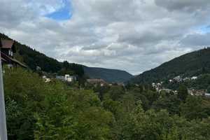 Zum Verkauf steht ein Mehrfamilienhaus mit Gewerbe in 75323 Bad Wildbad – Calw (Kreis) – Vorschaubild 39
