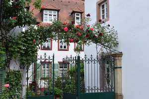 Historisches Stadthaus mit Innenhof | Herz der Heidelberger Altstadt | Fachwerkcharme & Gestaltungsp – Die vollständige Adresse der Immobilie erhältst du vom Anbieter., 69117 Altstadt, Heidelberg – Vorschaubild 2