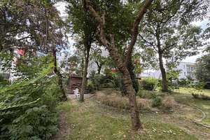 Renovierte 4 Zimmer DG-Altbauwohnung mit Gartennutzung in der Schönböckener Str. 7 – Die vollständige Adresse der Immobilie erhältst du vom Anbieter., 23556 Sankt Lorenz Nord, Lübeck – Vorschaubild 10