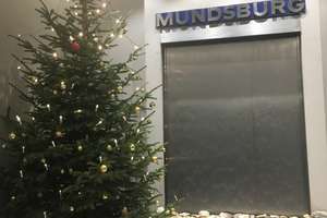 Modernisierte 1-Zimmer-Wohnung in Hamburg Barmbek-Süd – HamburgerStraße 3, 22083 Barmbek-Süd, Hamburg – Vorschaubild 7