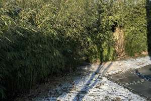 Property thumbnail 54