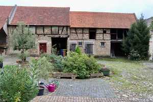 Charmantes Zuhause mit viel Platz – Falltorstraße 4, 64584 Groß-Gerau (Kreis) – Vorschaubild 9