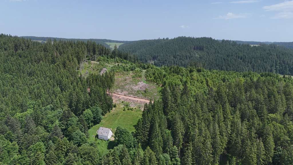 Immobilie in Furtwangen im Schwarzwald - Schwarzwaldhaus in einzigartiger Alleinlage – Ruhe, Natur und Privatsphäre pur - Bild 0