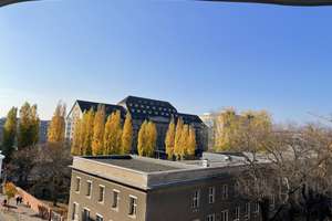 Property thumbnail 18