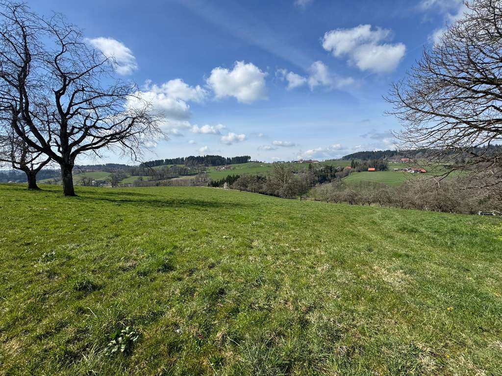 Immobilie in Bodnegg - Alleinlage pur: Hofstelle mit großem Potenzial und unverbaubarem Weitblick! - Bild 1