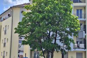 Moderne Wohnung - Verkauf von Privat - KEIN Markler – Hüttenstraße 2, 42857 Remscheid – Vorschaubild 1