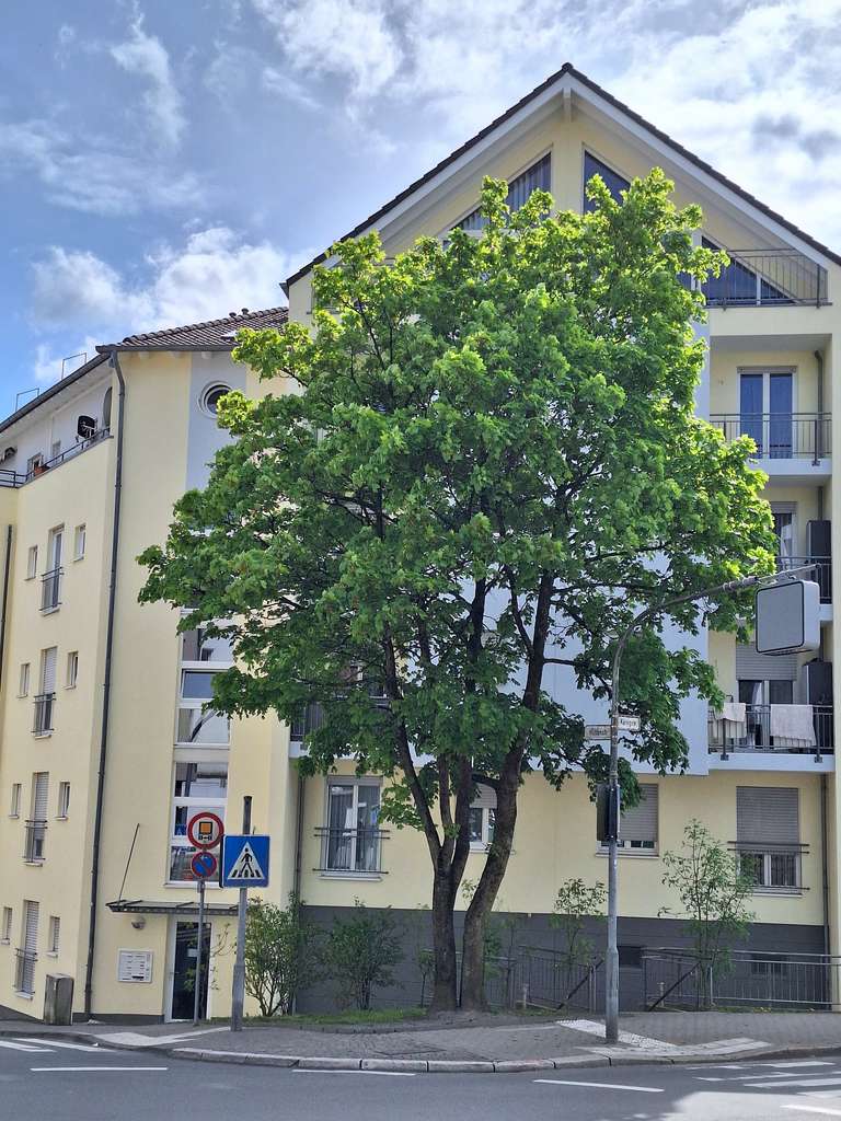 Frühlingsangebot - Moderne Wohnung - Verkauf von Privat - KEIN Markler