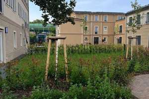 Traumhaftes Familiendomizil - Ihr neues Kapitel am Schlosspark – Geschw. Scholl Str. 56 f, 14467 Potsdam West, Potsdam – Vorschaubild 4