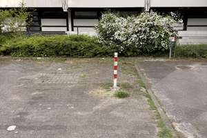 Charmante, frisch sanierte Ferienwohnung in 1. Strandlage in Sierksdorf an der Ostsee